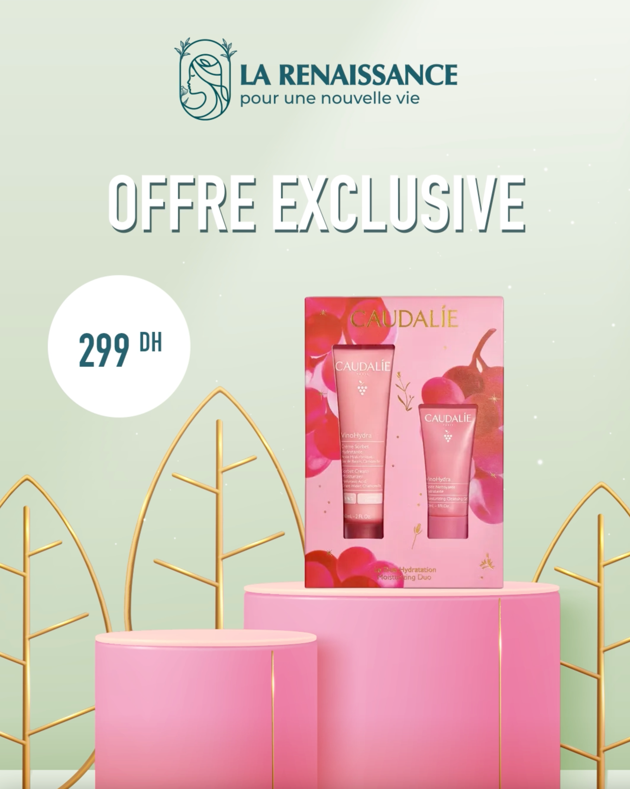 coffret-the-des-vignes