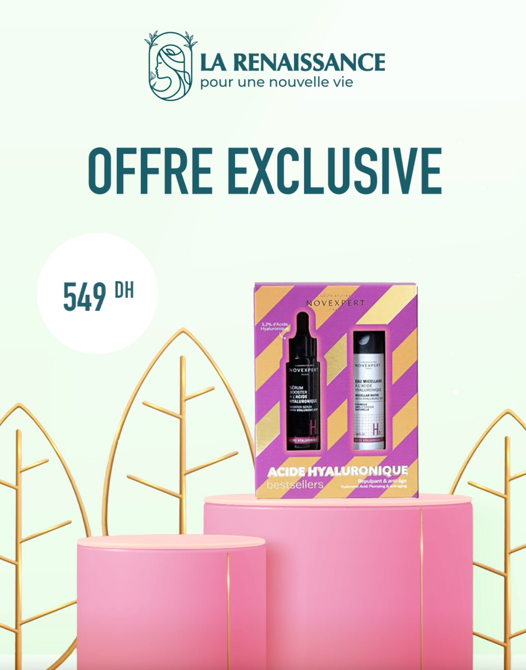 Novexpert Pack Specials
