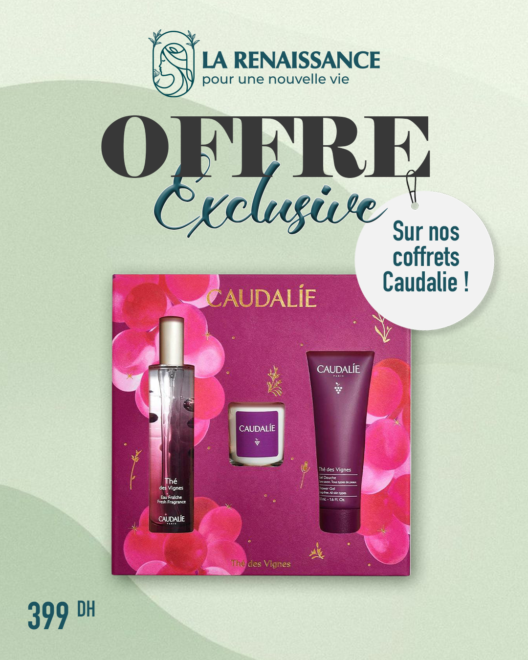 Coffret Thé de Vigne