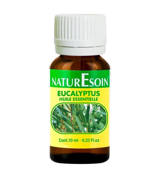 6111246208496-2.jpg NaturEsoin Huile Essentielle d'Eucalyptus Globuleux - 10 ml – Image 1