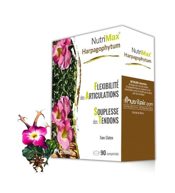 Nutrimax-Harpagophytum-90cps-1-1.jpg Nutrimax Harpagophytum 90 Comprimés – Image 1