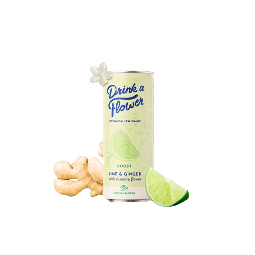 testes-13-1.png Drink a Flower Limonade Botanique Gingembre Citron Vert 250Ml – Image 1