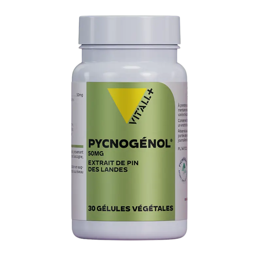 VITALL-Pycnogenol-30gelules.png VIT'ALL+ Pycnogenol 30 Gelules – Image 1